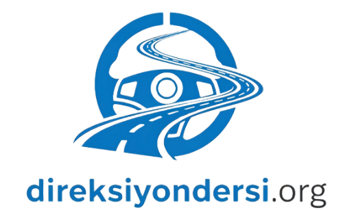 direksiyon dersi logo e1753958484992